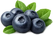 Bilberry extract — {{OFFER_NAME}}